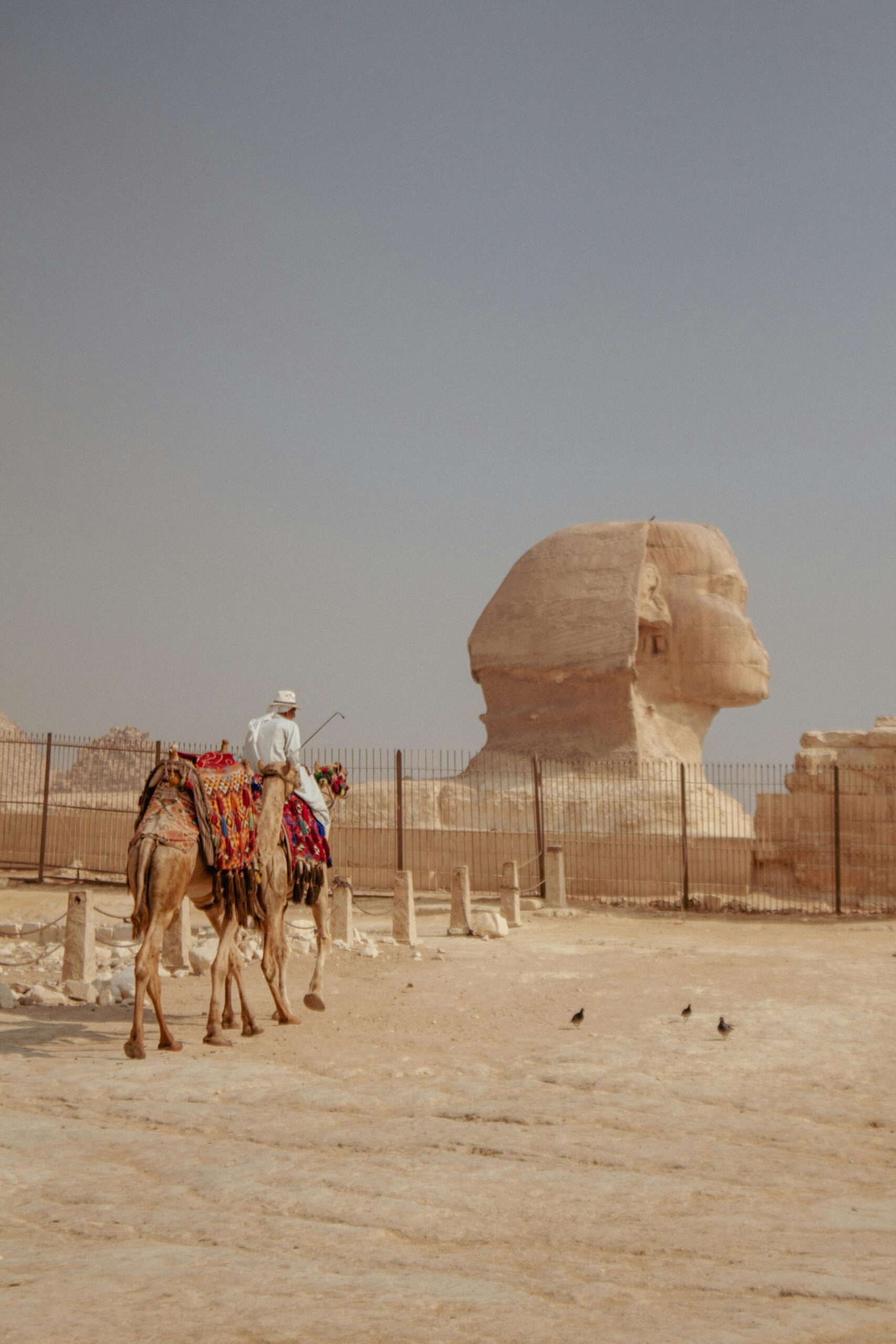 tượng nhân sư 4